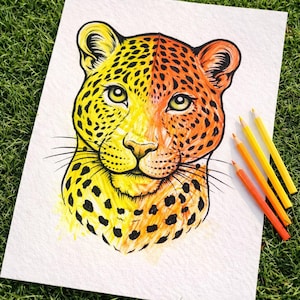 May include: A colorful illustration of a leopard's face, split vertically with yellow and orange hues. The artwork features black spots and whiskers, with several colored pencils in shades of yellow and orange resting on the paper.