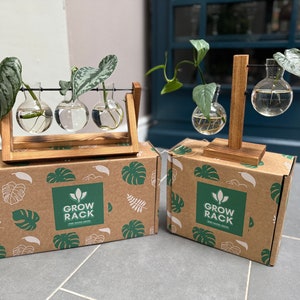 May include: Two wooden plant propagation stations with glass bulbs holding cuttings. The stations sit on boxes with the text "GROW RACK" and leaf illustrations. The background includes a blue door and a grey tiled floor.