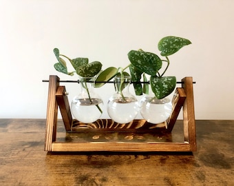 Propagation Station - Grow Rack - Hydroponic Station for Growing Plant Cuttings - Desktop Terrarium Vase