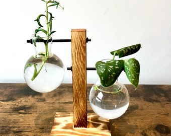 Station de propagation - Support de culture - Station hydroponique pour la culture de boutures de plantes - Vase de bureau pour terrarium