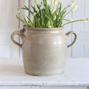 以下が含まれることがあります： ベージュ色のセラミックポットで、2つのハンドルが付いており、緑色の茎と白い花で満たされています。 ポットは白いテーブルの上にあります。 花は茎の先に小さな白い花が咲いています。