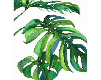 Monstera Digital Download Monstera JPG Watercolor Monstera Print Plant Monstera Leaf Digital Monstera Plant Printable Art Digital Download