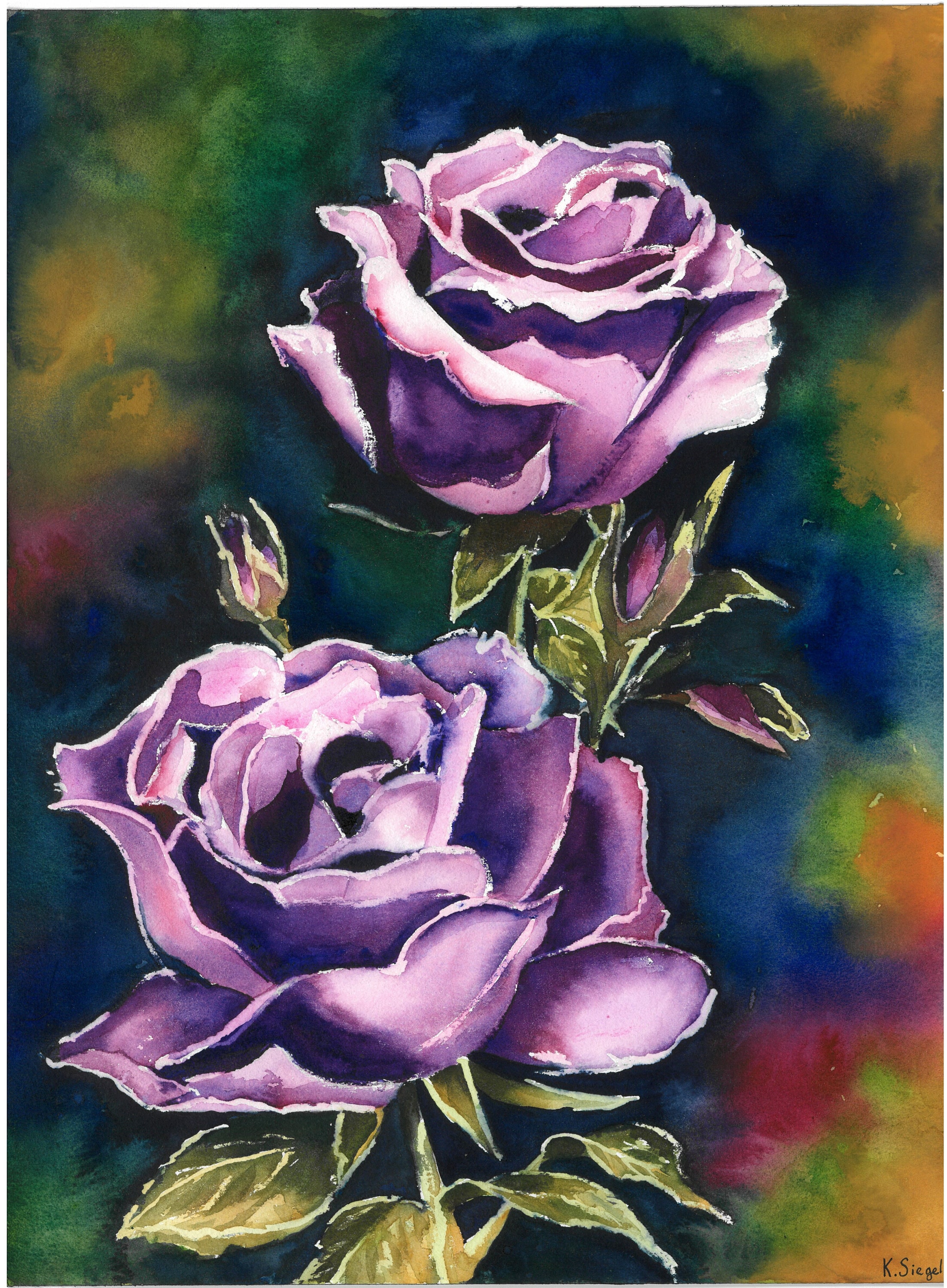Roses Painting Original Art Garden Roses Artwork Pink Roses - Etsy