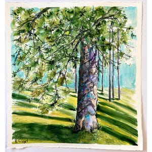 Dipinto di pino Dipinto di foresta Arte originale Paesaggio estivo Acquerello Alberi di pino Arte Alberi di pino Arte murale Paesaggio estivo Foresta Arte