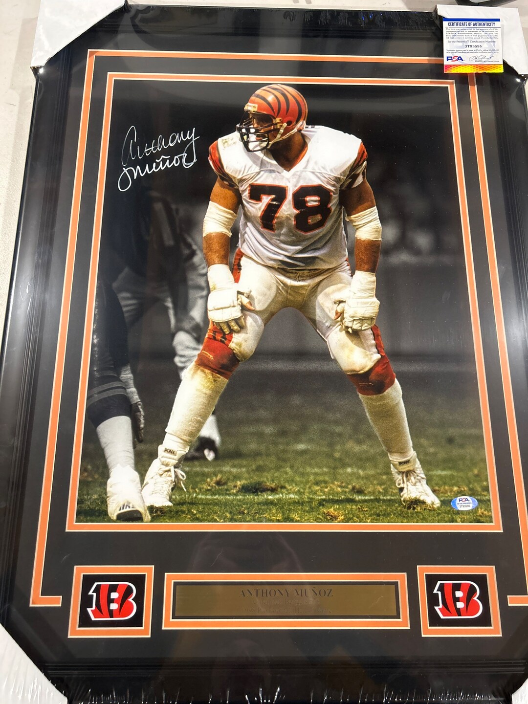 Anthony Munoz Autograph Signed Bengals 16x20 Photo Black Framed Black ...