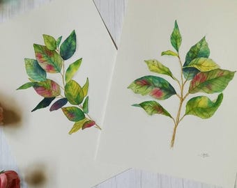 Botanical watercolor set of leaves – wall decoration – original botanical art
