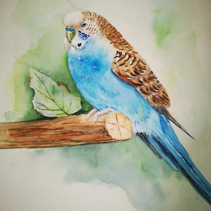 Original-Aquarell eines französischen Sittichs. Vogelgemälde. Illustration eines exotischen Vogels. Wandkunst. Moderne Tierillustration, Din A4