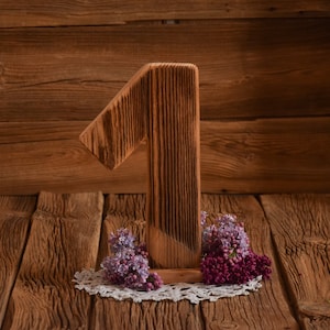 &quot;Holzschild &quot;&quot;Eins&quot;&quot;, Nummer eins, Geburtstag 1, Cake Smash, Kinderfotografie, Baby Foto Requisiten.&quot;