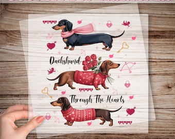Dachshund Valentine DTF Transfer, Cute Wiener Dog Love Ready To Press, Dog Valentine Heat Transfer, Pet Lover Gift, Valentine's Day Dtf