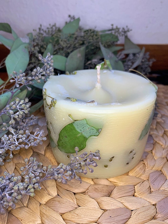 Are Eucalyptus Candles Safe For Dogs