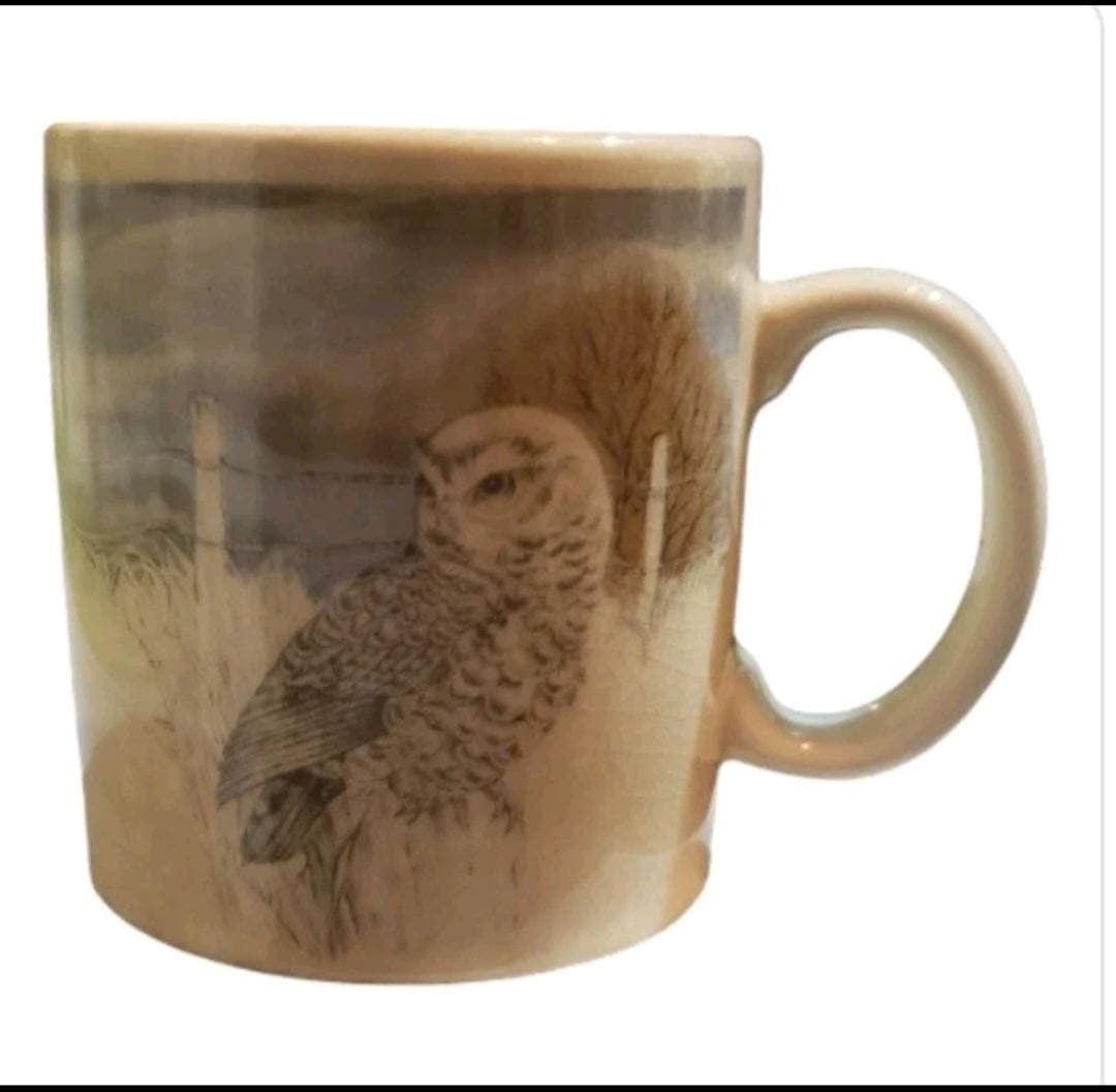 vintage otagiri owl mug for Gibson Greeting Japan 8 oz