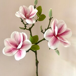Puede incluir: Un ramo de tres flores de magnolia rosas y blancas con hojas y capullos verdes.