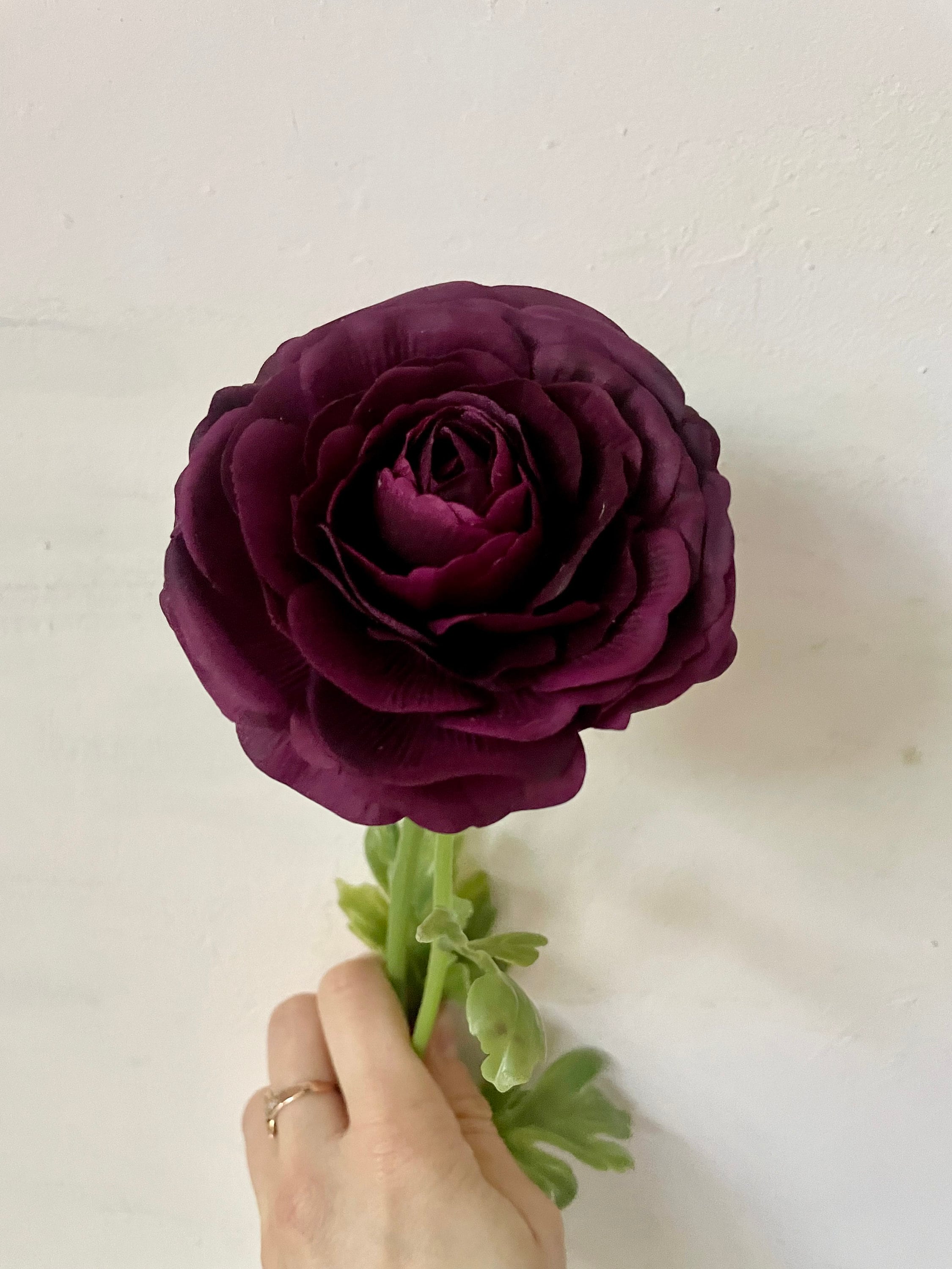 Dark Burgundy Artificial Ranunculus, Real Touch Ranunculus Stem, Deep ...