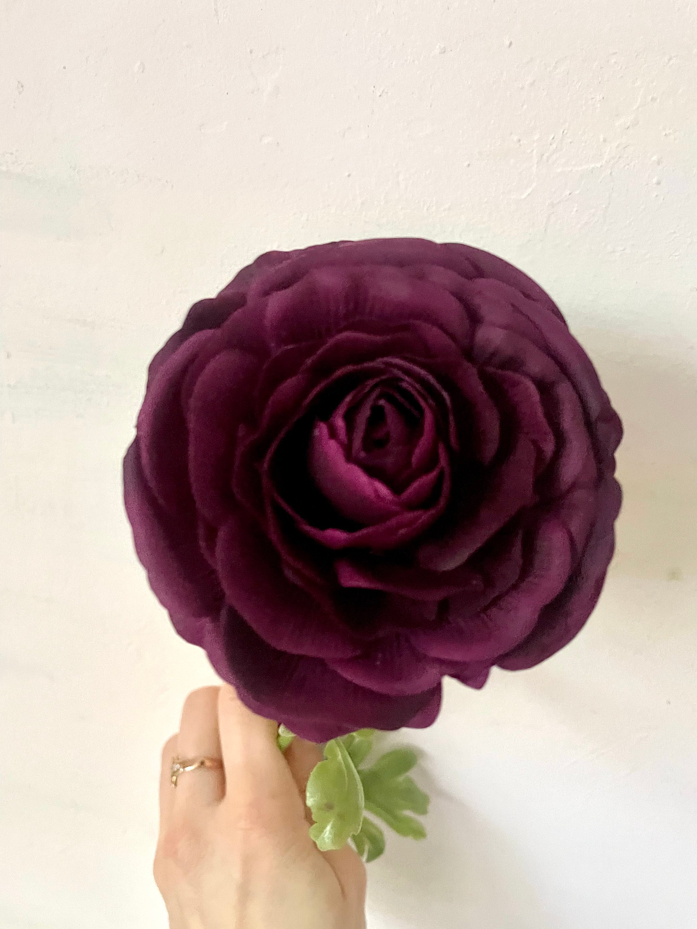 Dark Burgundy Artificial Ranunculus, Real Touch Ranunculus Stem, Deep ...