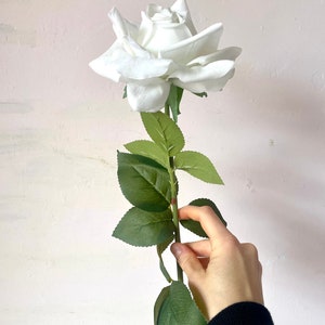 May include: A single white rose with green leaves on a white background.