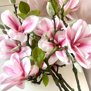 Puede incluir: Un ramo de flores de magnolia rosas con hojas y capullos verdes. Las flores est&aacute;n dispuestas sobre una superficie blanca.