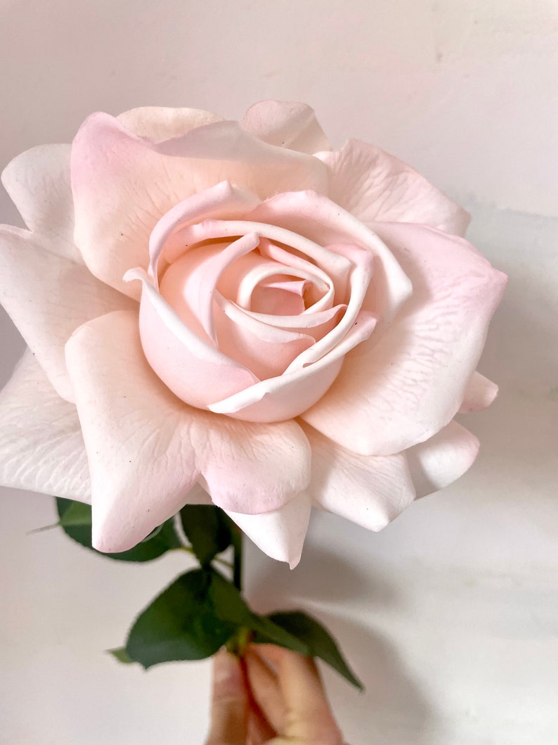 May include: A single, light pink rose with a delicate, layered bloom. The rose is in focus, with the stem and leaves blurred in the background.