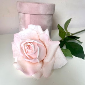 May include: A single, pale pink rose with green leaves sits on a white surface next to a pale pink velvet box.