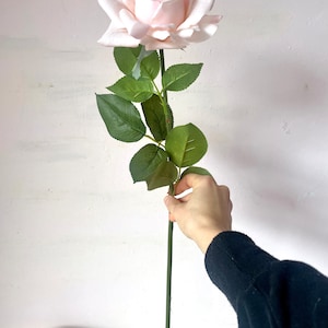 May include: A single, long-stemmed artificial rose with a light pink bloom and green leaves.