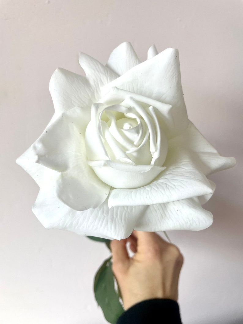 May include: A single white rose with a delicate, layered bloom. The rose is held by a hand, with the stem and leaves visible.