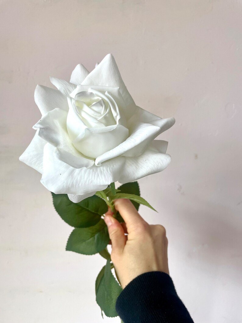 May include: A single white rose with green leaves. The rose is in bloom and has a delicate, ruffled appearance.