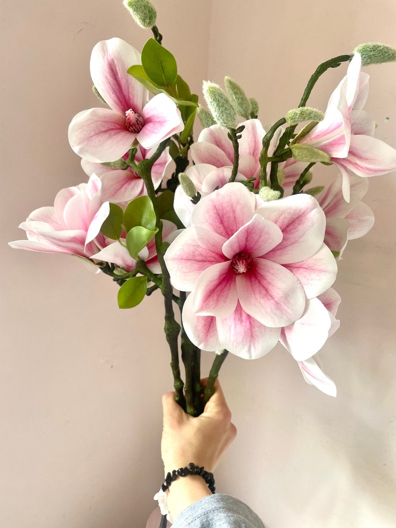 Puede incluir: Un ramo de flores de magnolia rosa y blanca con hojas y capullos verdes.