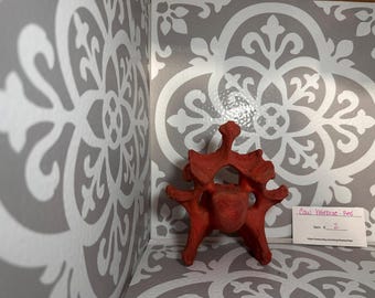 Red Cow Vertebrae - Dyed