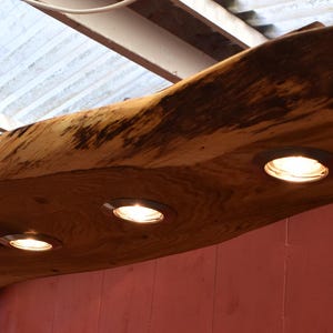 Può includere: Una lampada a sospensione ricavata da una lastra di legno con bordo naturale, dotata di quattro faretti circolari incassati con bordi metallici. La venatura del legno naturale presenta motivi marrone scuro e marrone chiaro, sospesa orizzontalmente con cavi visibili.