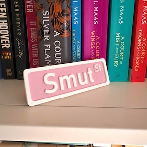 Smut Street Sign: Funny Pink 3D Printed Booktok Decor