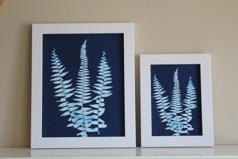 Fern Cyanotype Print - Etsy