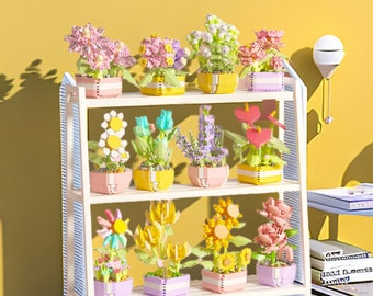 Conjuntos creativos de flores botánicas de bricolaje: construya su propio jardín, decoración del hogar e idea de regalo, opción 7-12