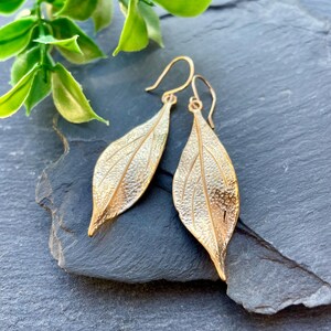 Pode incluir: Um par de brincos dourados em forma de folha com detalhes texturizados. Os brincos estão pendurados em uma superfície de pedra cinza escura, com galhos de folhas verdes ao fundo. Os brincos têm um fecho de gancho.