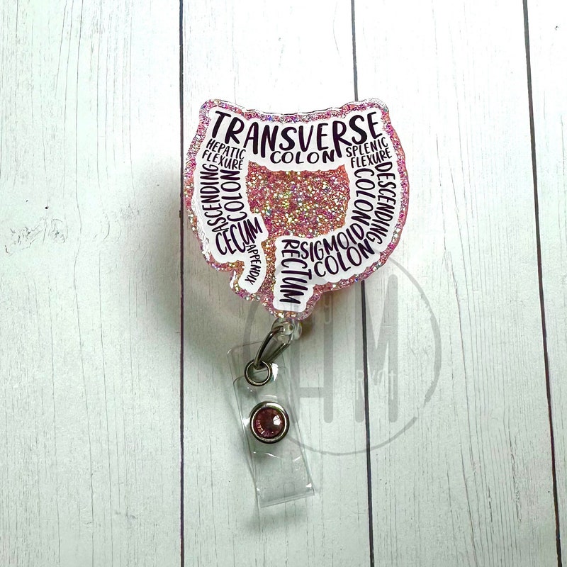 Digestive Key Ring Gastrointestinal Keychain - Etsy