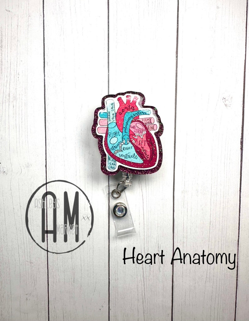 May include: A pink glitter heart with a blue and white anatomical diagram of the heart. The heart is attached to a clear plastic retractable badge holder with a silver clip and a clear blue rhinestone. The text "Heart Anatomy" is printed below the heart.