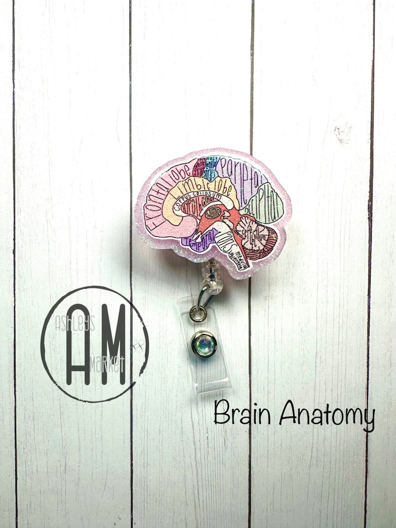 May include: A pink glitter brain anatomy badge reel with a clear plastic badge holder and a sparkly iridescent button. The brain is labeled with the different lobes and structures. The text "Brain Anatomy" is printed below the badge reel.