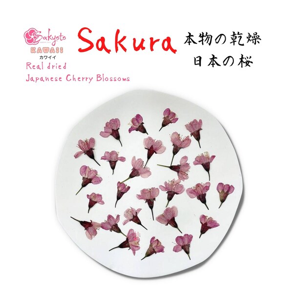 15 pieces, Real Dried Flower, Japanese Cherry Blossoms, for Arts and Crafts, Scrapbooking, Jewellery, Nail Art, Papermaking, Candlemaking