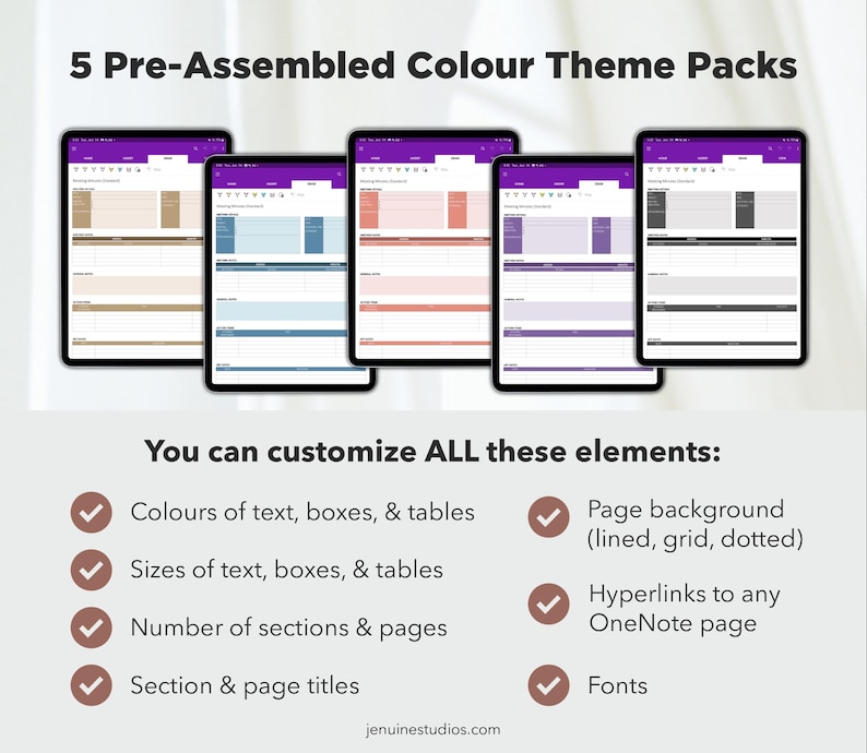 Project Management Onenote Templates Pack, Business Planner Work ...