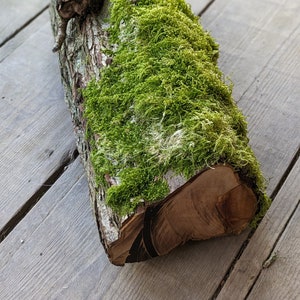 Tree Log with Living Moss, Green Moss Forest Log, Terrariums, Mossariums, Garden Ornaments, Natural Crafts, Woodland Wedding Decor
