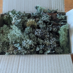 May include: An open cardboard box filled with various types of dried moss. The moss ranges in color from light green to dark green and brown, with a textured appearance. The box is sitting on a wooden surface.