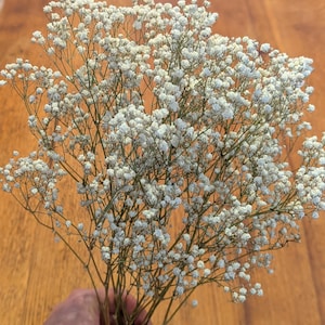 May include: A large, airy bouquet of dried baby's breath flowers featuring numerous tiny, delicate white blossoms on thin, branching green stems. The cluster of flowers forms a rounded, cloud-like shape with a dense arrangement of small petals.
