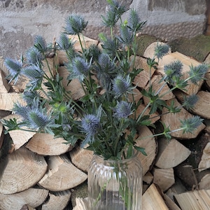 May include: A clear glass vase with vertical ridges holds a bouquet of blue thistle flowers. The flowers have spiky, spherical heads and green stems. The vase sits in front of a stack of cut firewood, creating a rustic, natural aesthetic.