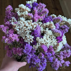 May include: A vibrant bouquet of dried flowers, featuring a mix of purple, lavender, and white blooms. The flowers are densely packed, giving a full, textured look. The bouquet is held in a hand, with a wooden floor visible in the background.