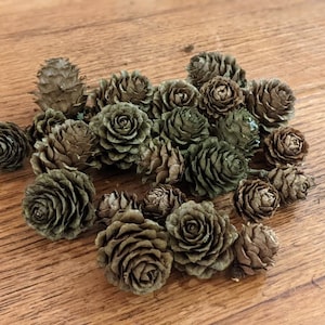 May include: A collection of small, dried pine cones in varying shades of brown and green. The cones have a textured, layered appearance and are arranged on a wooden surface. The natural elements are suitable for crafts and decor.
