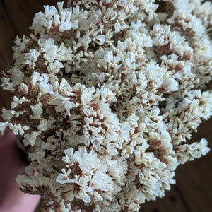 May include: A close-up of a bunch of dried white flowers with brown centres. The flowers have a delicate, textured appearance and are clustered together. The background is a blurred wooden surface.