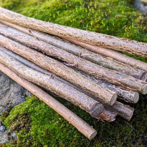 Fresh Natural Hazel Sticks for Crafts, Hazel Wood Twigs, 20 x 40 cm, Straight Stems Branches, Home decor, Basketry, Wand making, Macrame