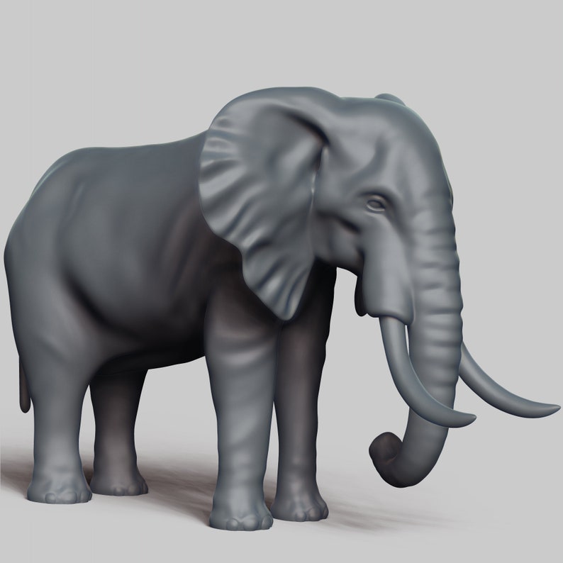 African Elephant STL File 3D Print Model Pose 01 Etsy