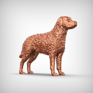 Curly-Coated Retriever Dog 3D Print Model Pose 01