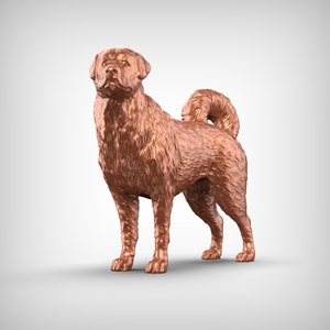 Anatolian Shepherd Dog 3D Print Model Pose 02