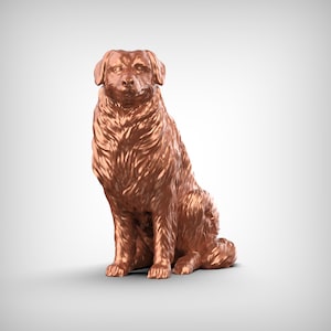 Australian Shepherd Dog 3D Print Model Pose 05