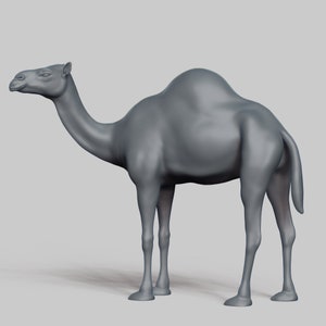 Kameel STL-bestand 3D Print Model Pose 01